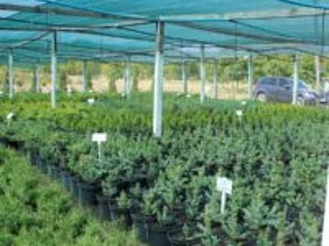 Проведення семінару у ДП Сокирянське лісове господарство