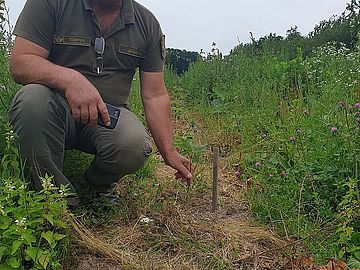 Романківецьке лісництво