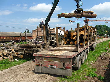 Вашківецький лісопункт