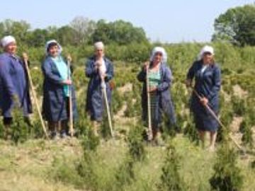 Проведення семінару у ДП Сокирянське лісове господарство
