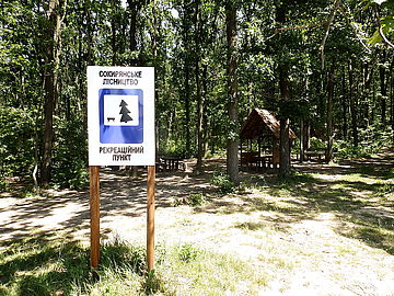 Сокирянське лісництво
