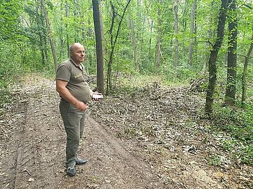 Романківецьке лісництво