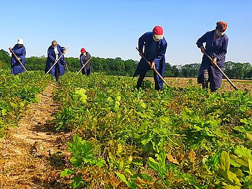 Іванівецьке лісництво