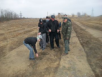Сокирянське лісництво