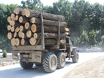 Ломачинецьке лісництво